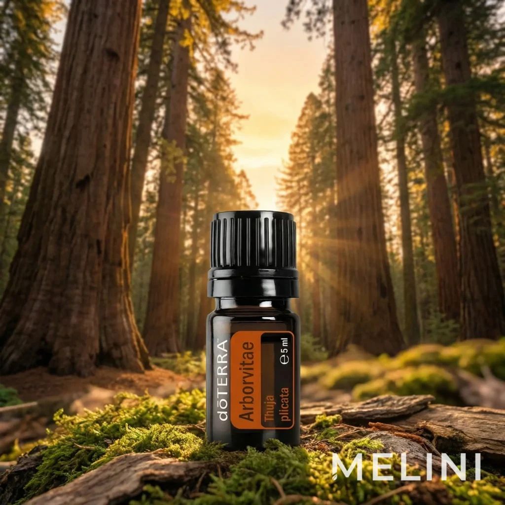 doTERRA Arborvitae essential oil