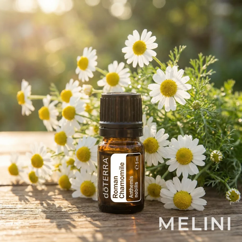 doTERRA Roman chamomile essential oil