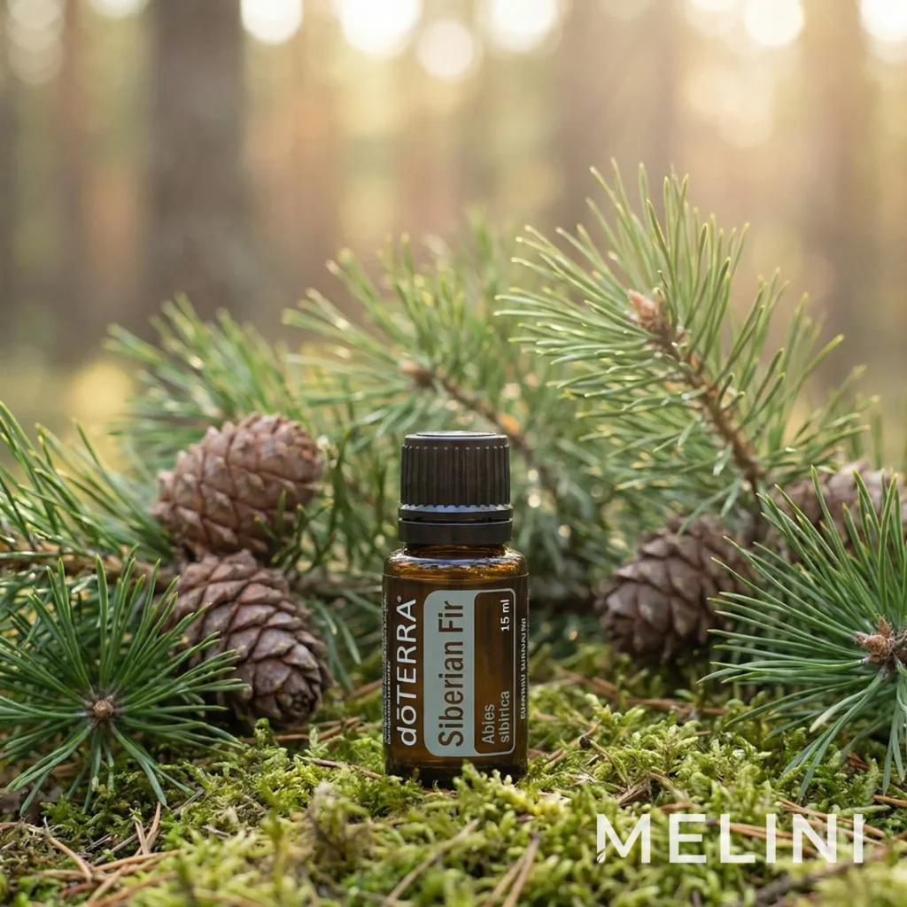 doTERRA Siberian Fir essential oil